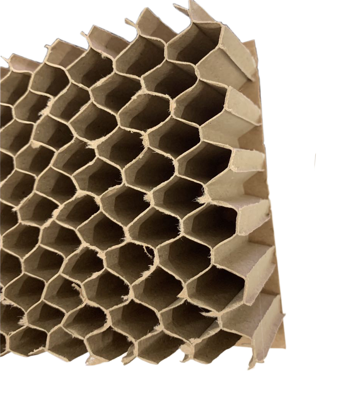 Paper honeycomb core